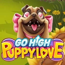 game logo by RubyPlay on stakeprixcasino.eu